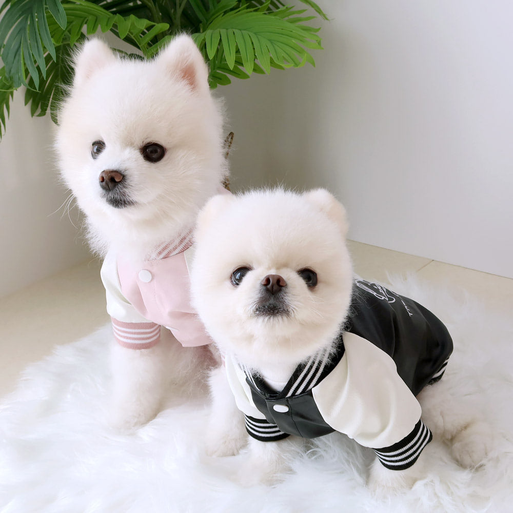 Bear Brothers Leather Dog Jacket