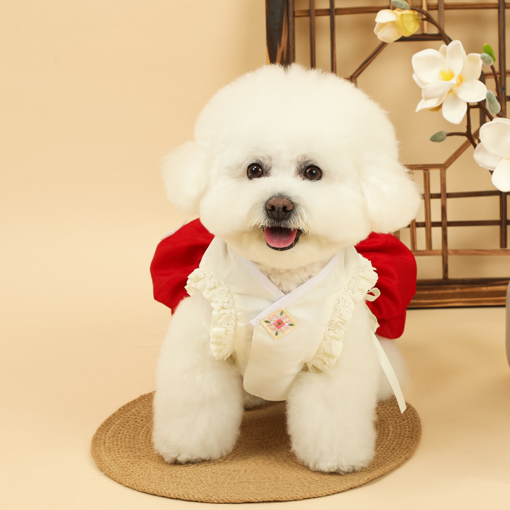 Floral Lace Baeja Vest Pet Hanbok