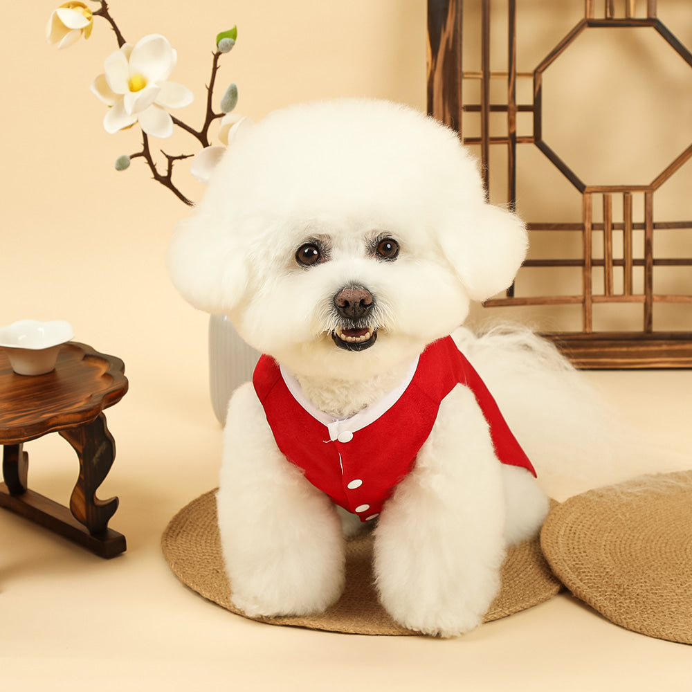 Phoenix Red Pet Hanbok