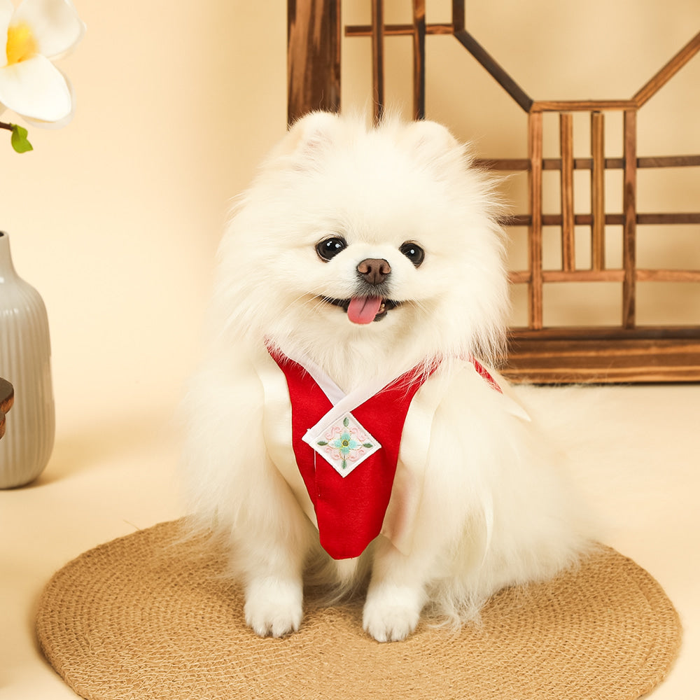 Red Baeja Vest pet Hanbok