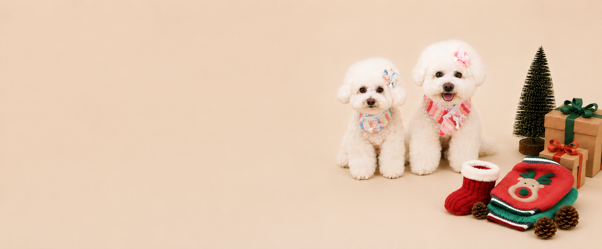 NKpup