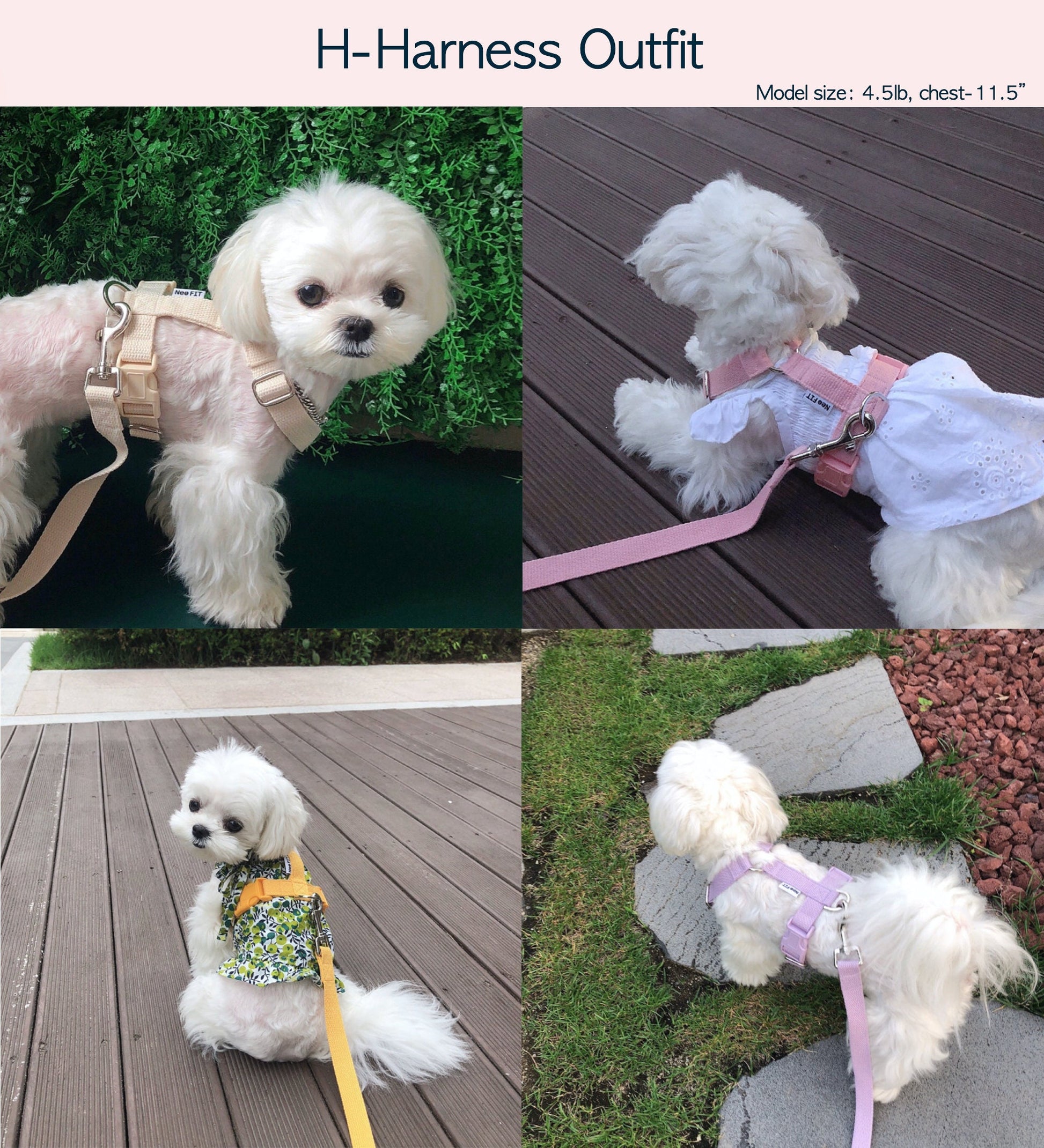 Dog Harness, H type Harness, Dog Leash, Adjustable Dog Harness, X-Small, Small, Medium, Large, XLARGE, Neo fits - NKpup