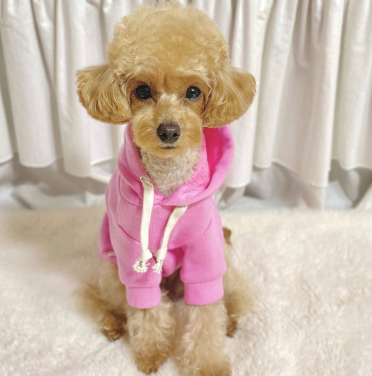 Kangaroo Hoodie, S-2XL, Pet Clothing, Dog-Vest, Dog Jacket, Dog Fashion, Dog Apparel, Pet Clothing - NKpup