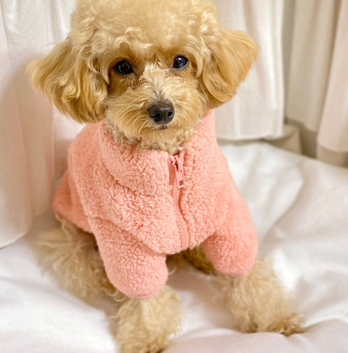 Basic Fleece Zip-Up Sweater, S-2XL, Pet Clothing, Dog-Tee, Dog T-shirts, Dog Top, Dog Clothing, Dog Fashion, Dog Apparel - NKpup