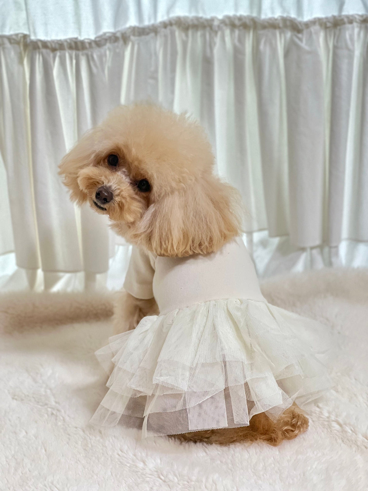 NKpup layered dog tutu dress in cream white with a voluminous tulle skirt