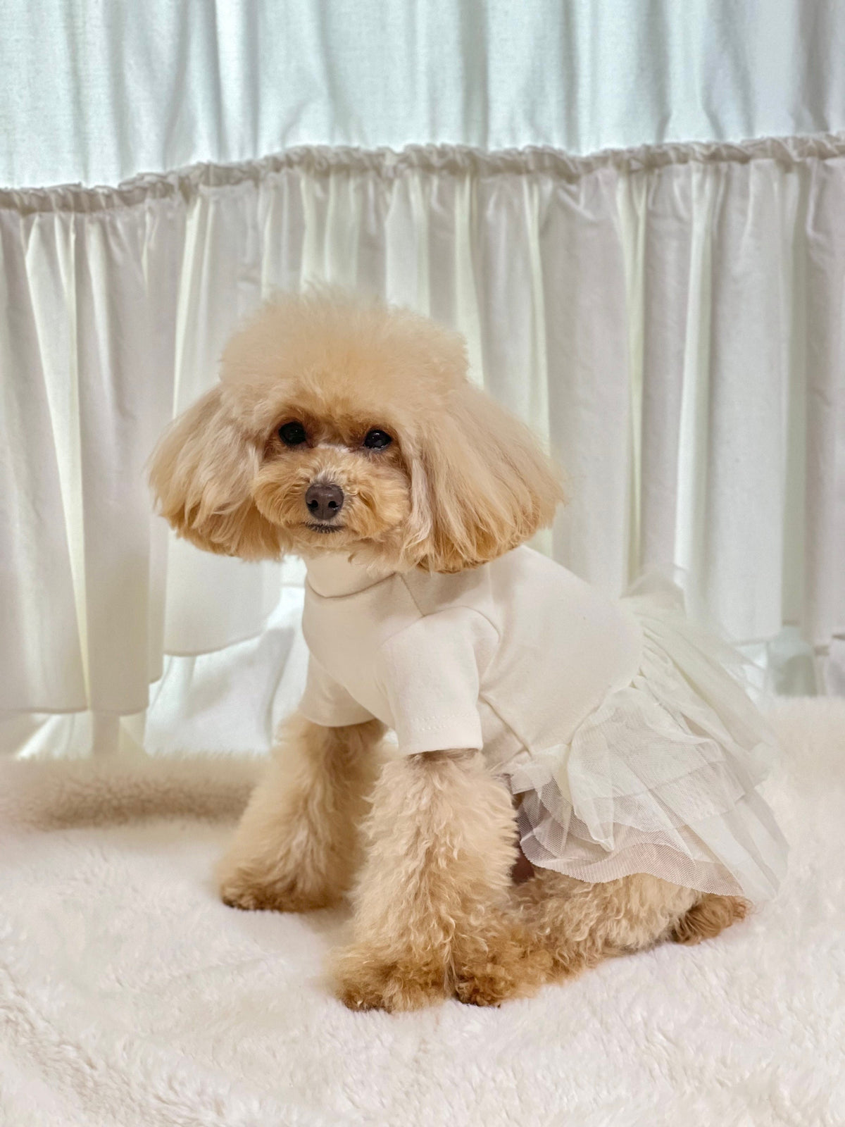 NKpup layered dog tutu dress in cream white