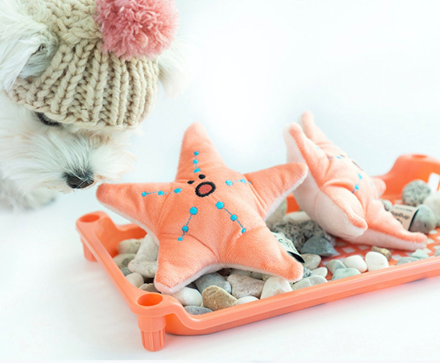 Snuffle Starfish Dog Toy, Dog Nose Work Toy, Feeding Toy, Interactive Toy with Crinkle Puzzle, Dog Puzzle Toy - NKpup