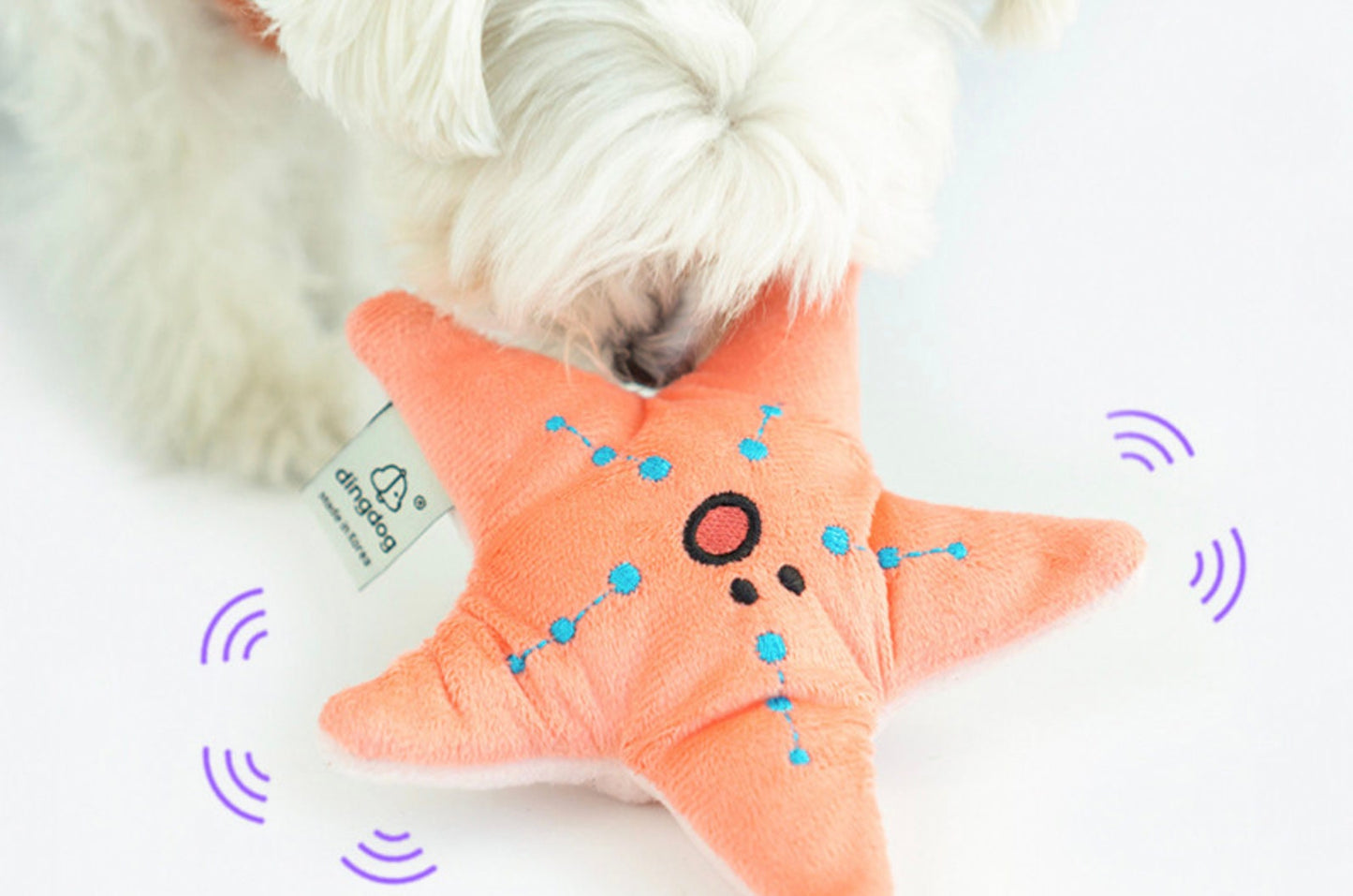 Snuffle Starfish Dog Toy, Dog Nose Work Toy, Feeding Toy, Interactive Toy with Crinkle Puzzle, Dog Puzzle Toy - NKpup