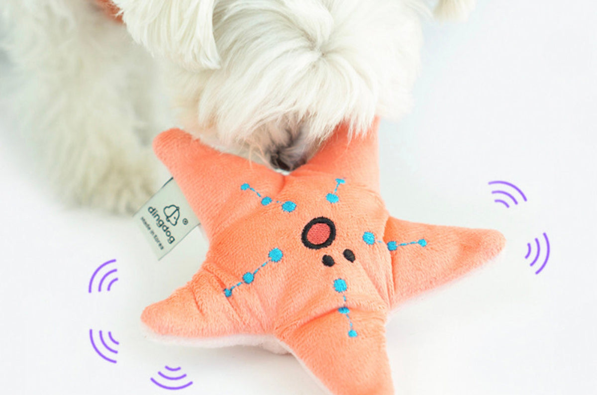 Snuffle Starfish Dog Toy, Dog Nose Work Toy, Feeding Toy, Interactive Toy with Crinkle Puzzle, Dog Puzzle Toy - NKpup