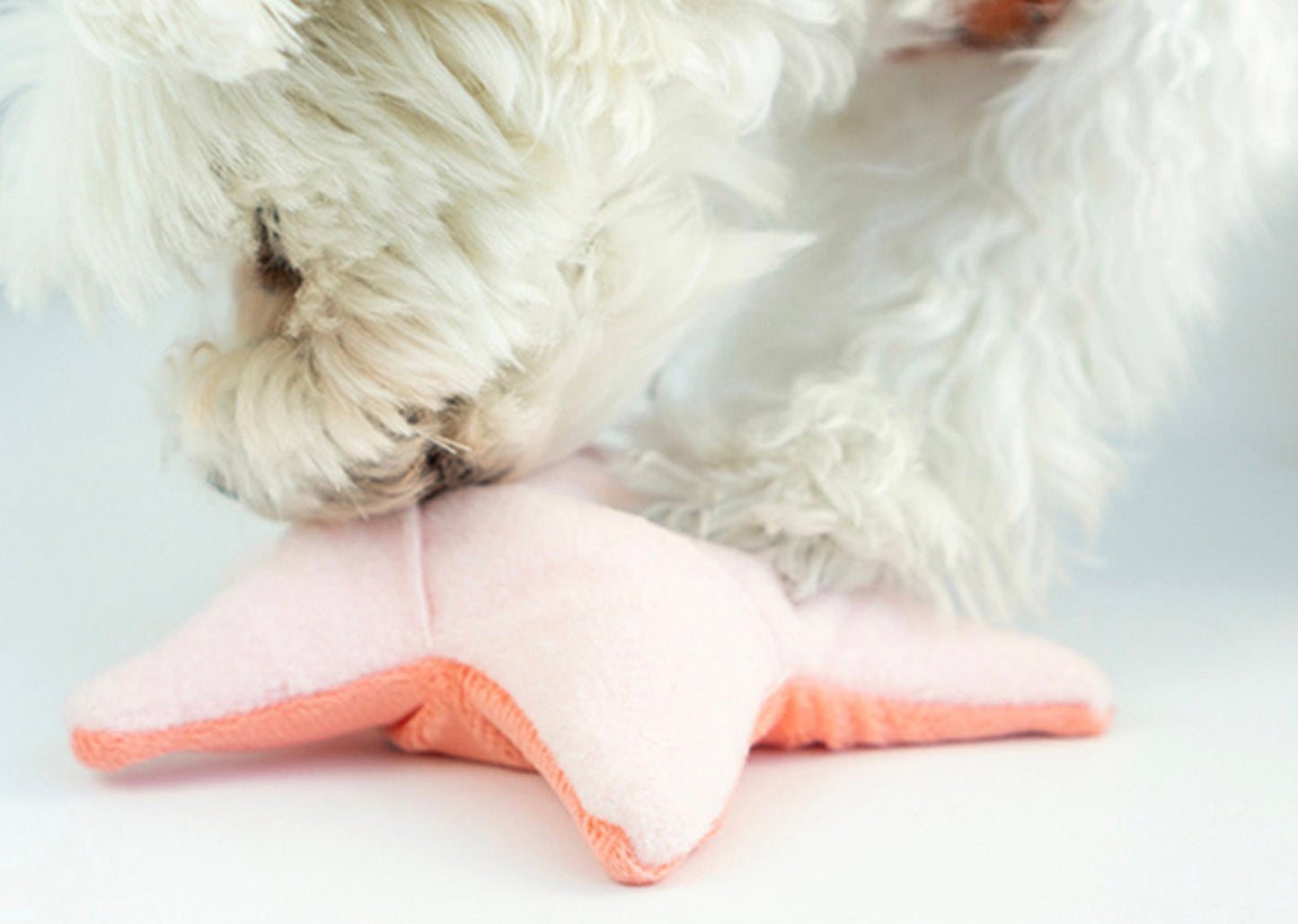 Snuffle Starfish Dog Toy, Dog Nose Work Toy, Feeding Toy, Interactive Toy with Crinkle Puzzle, Dog Puzzle Toy - NKpup