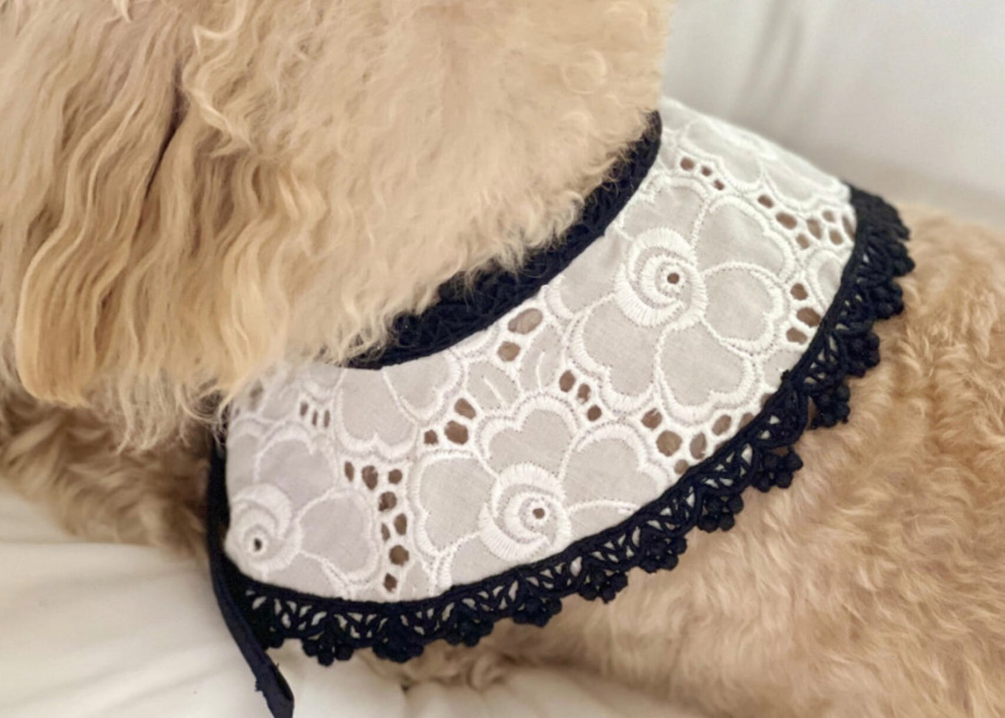 Cotton Lace Cape, S-L, Pet Bandana, Dog Neck Warmer, Pet Clothing, Pet Aceessory, Dog Fashion, Dog Apparel, Pet Clothing