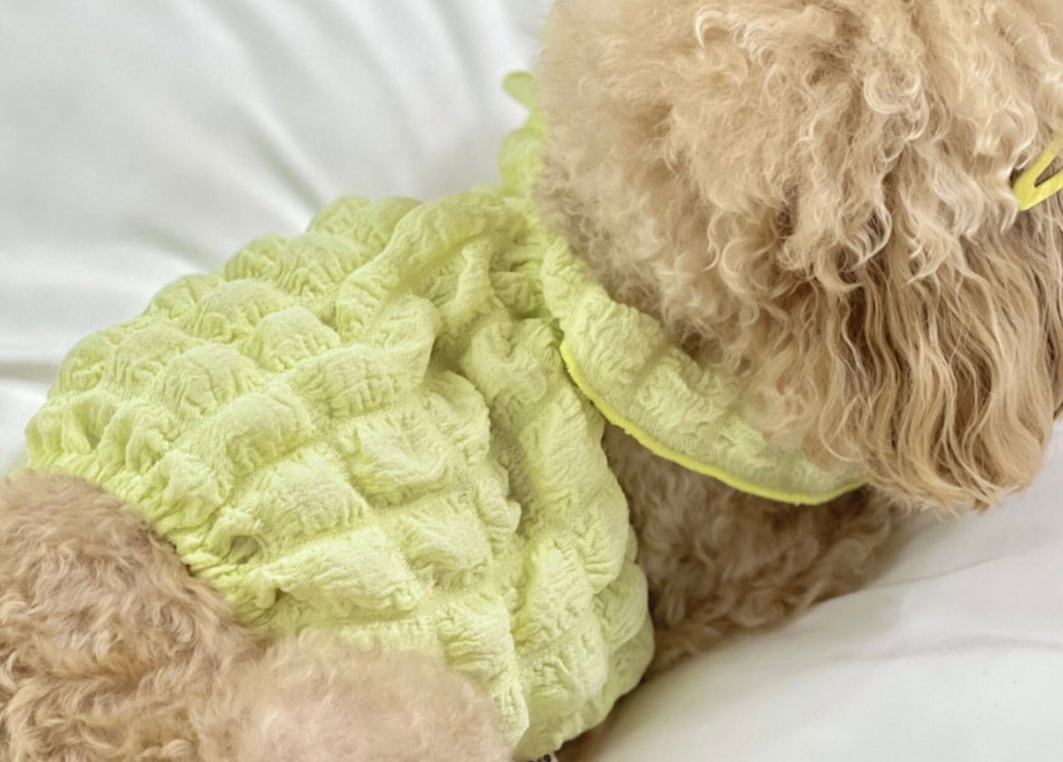 NKpup Textured Ruffle Dog Crop Tank Top in light green