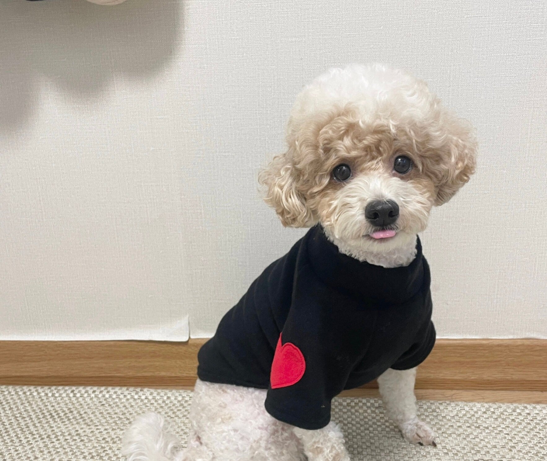 Heart Mock Neck Knit, S-2XL, Pet Clothing, Dog-Tee, Dog T-shirts, Dog Top, Dog Clothing, Dog Fashion, Dog Apparel - NKpup