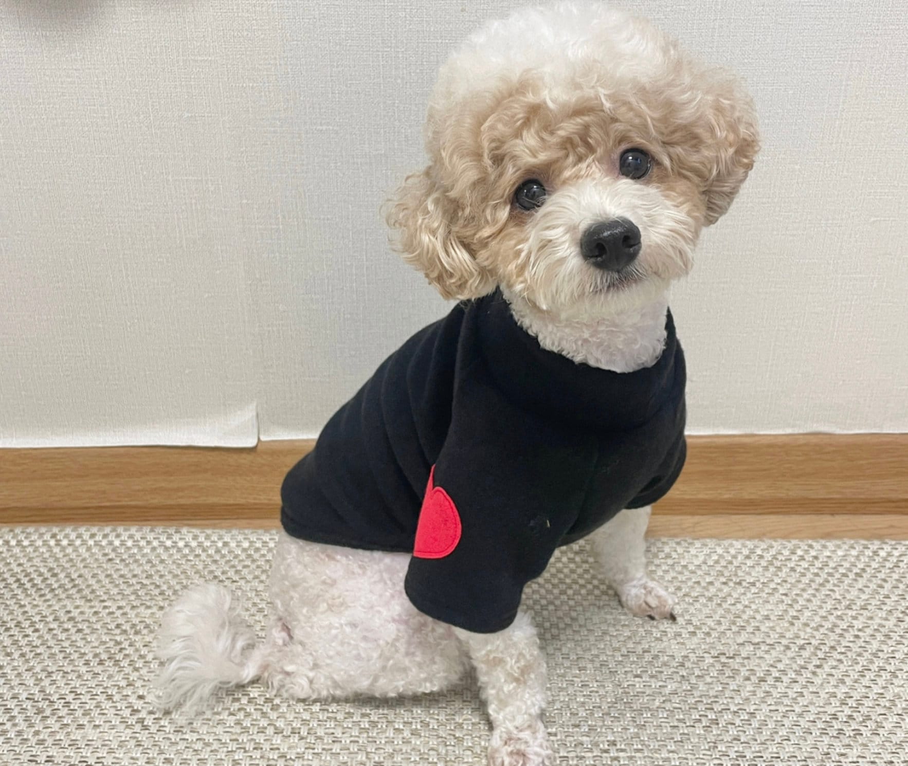 Heart Mock Neck Knit, S-2XL, Pet Clothing, Dog-Tee, Dog T-shirts, Dog Top, Dog Clothing, Dog Fashion, Dog Apparel - NKpup