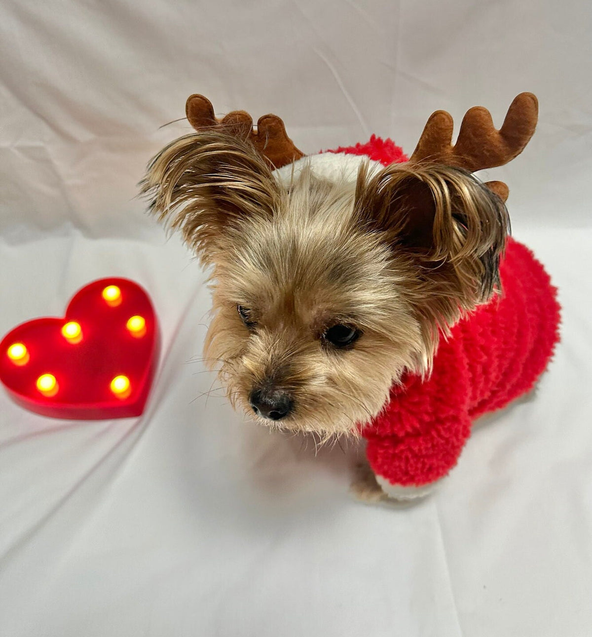 Reindeer Fleece, S-2XL, Dog-Jacket, Christmas Costume Dog, Dog T-shirt, Dog Top, Dog Clothing, Dog Fashion, Dog Apparel, Harness Cloth - NKpup