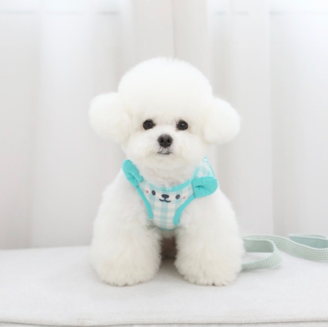 A white dog wearing a light blue and white checkered NKpup cotton mesh harness.