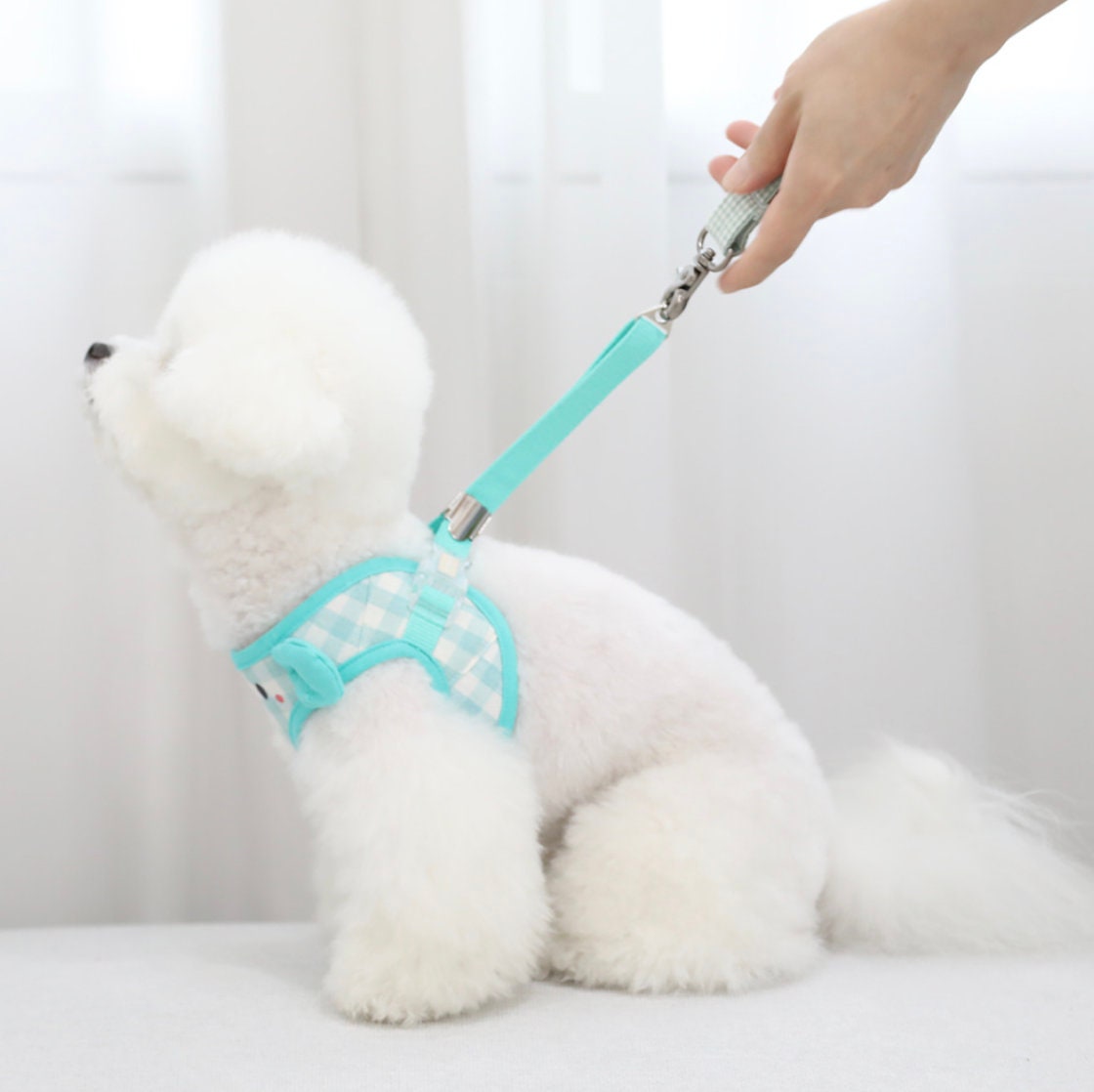 NKpup light blue and white checkered cotton mesh dog harness with matching leash