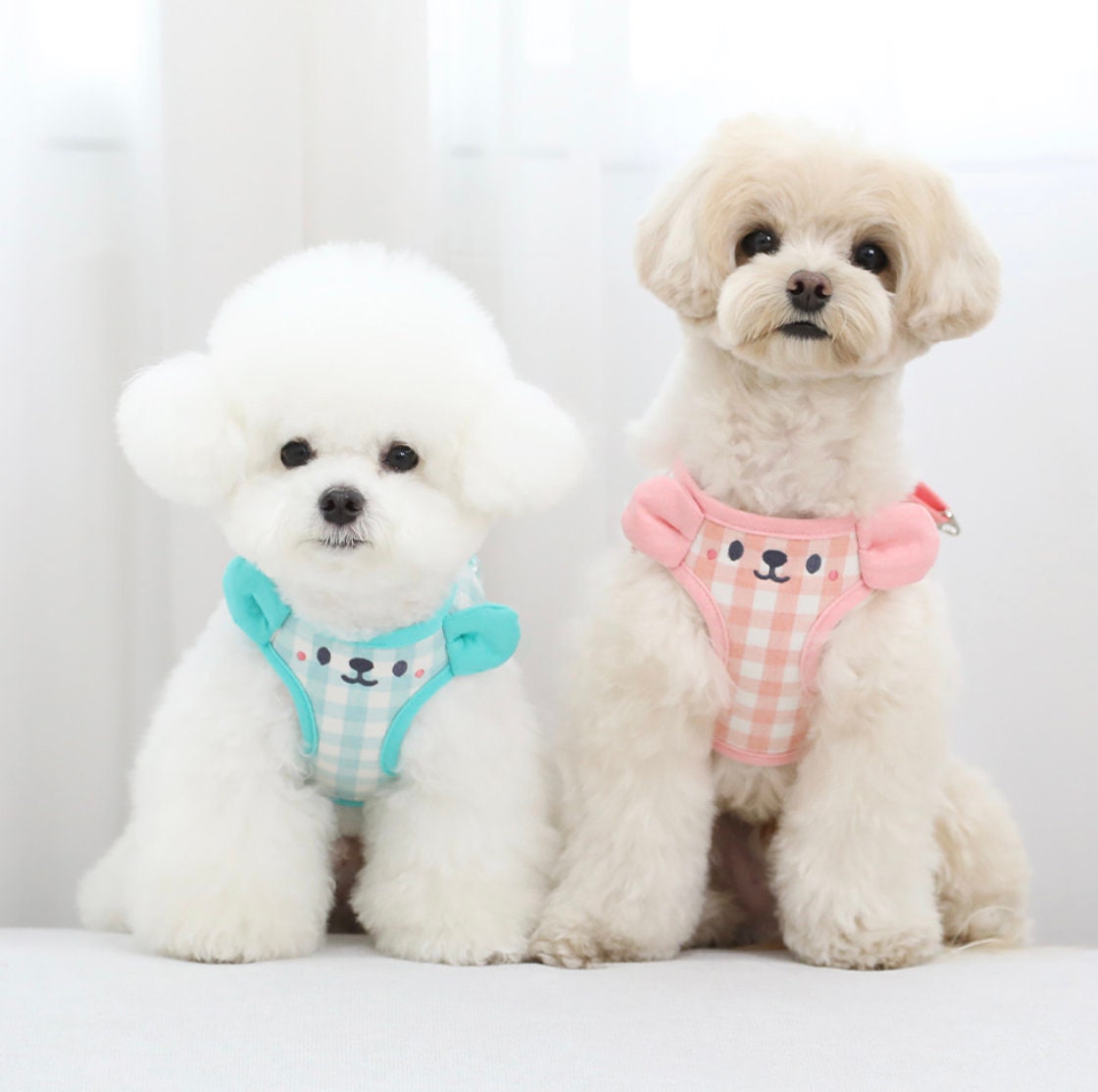 Two dogs wearing NKpup cotton mesh harnesses in light blue and pink gingham patterns.