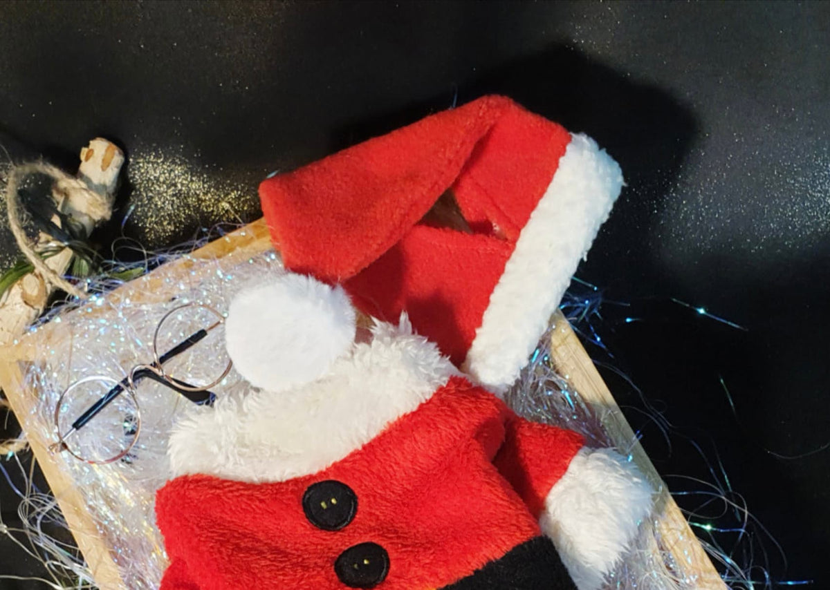 Santa Dog Christmas Hat