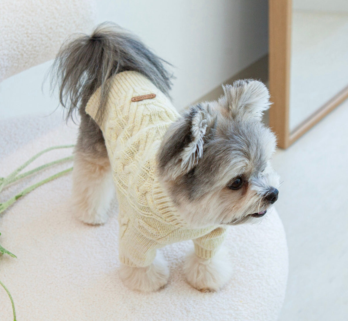 NKpup Toto cable knit dog sweater in cream yellow