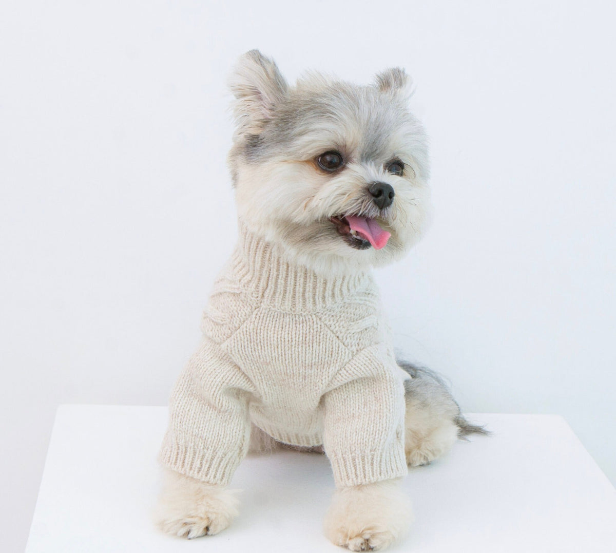 NKpup Toto beige cable knit dog sweater