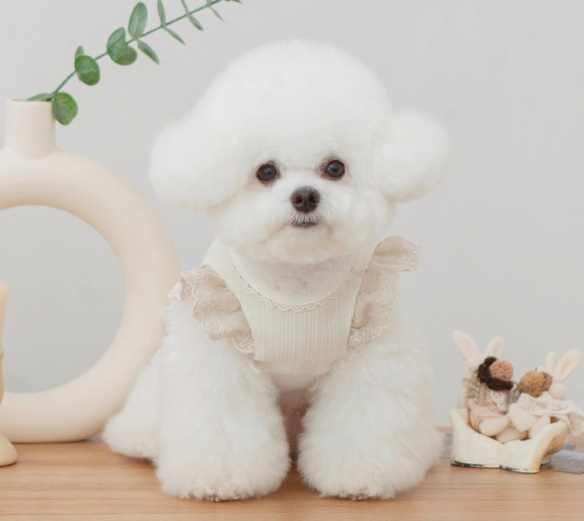 NKpup Linen Lace Dress in cream with ruffled collar details