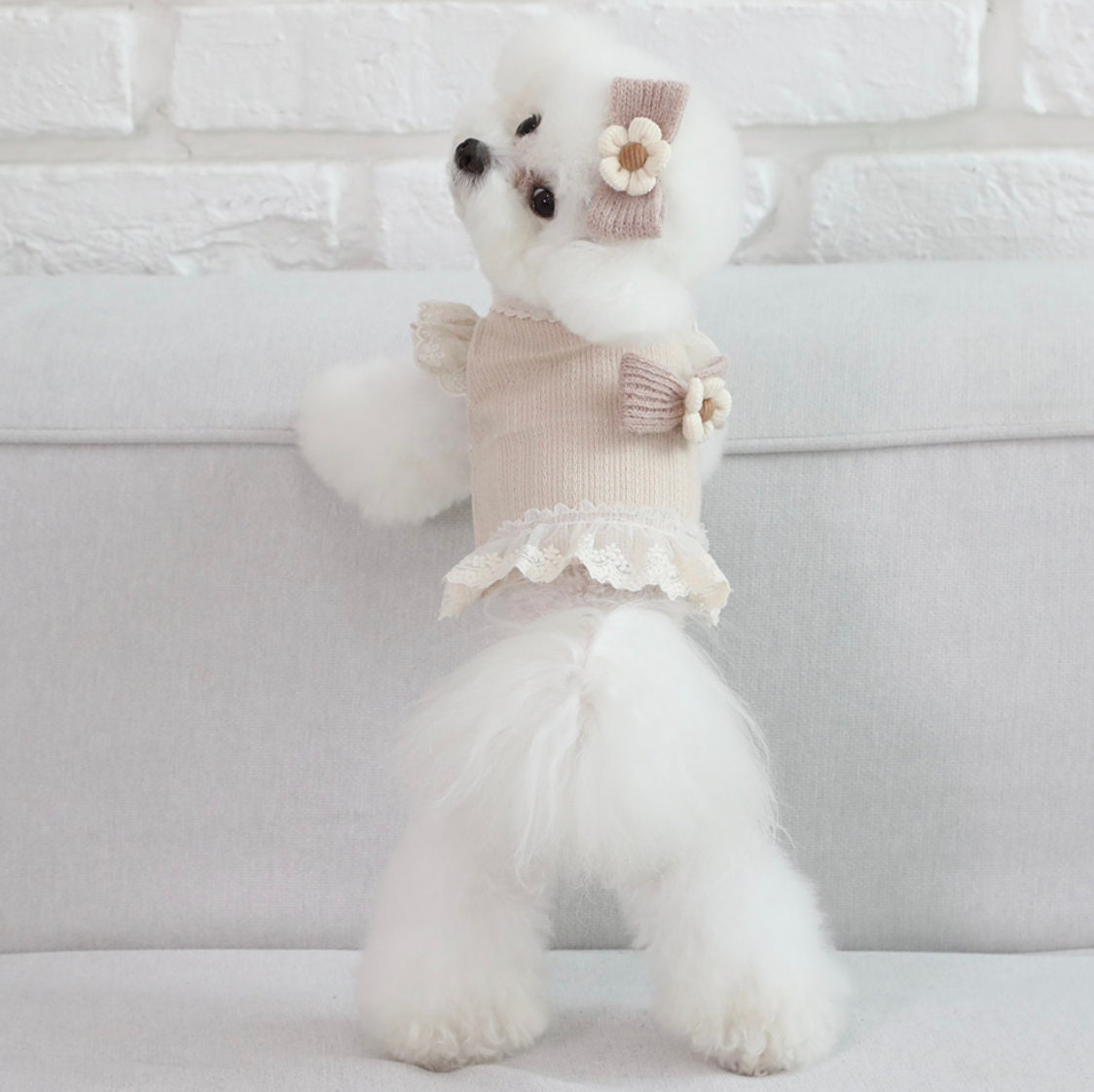 NKpup beige linen frilled crop top for dogs with a decorative bow and lace trim