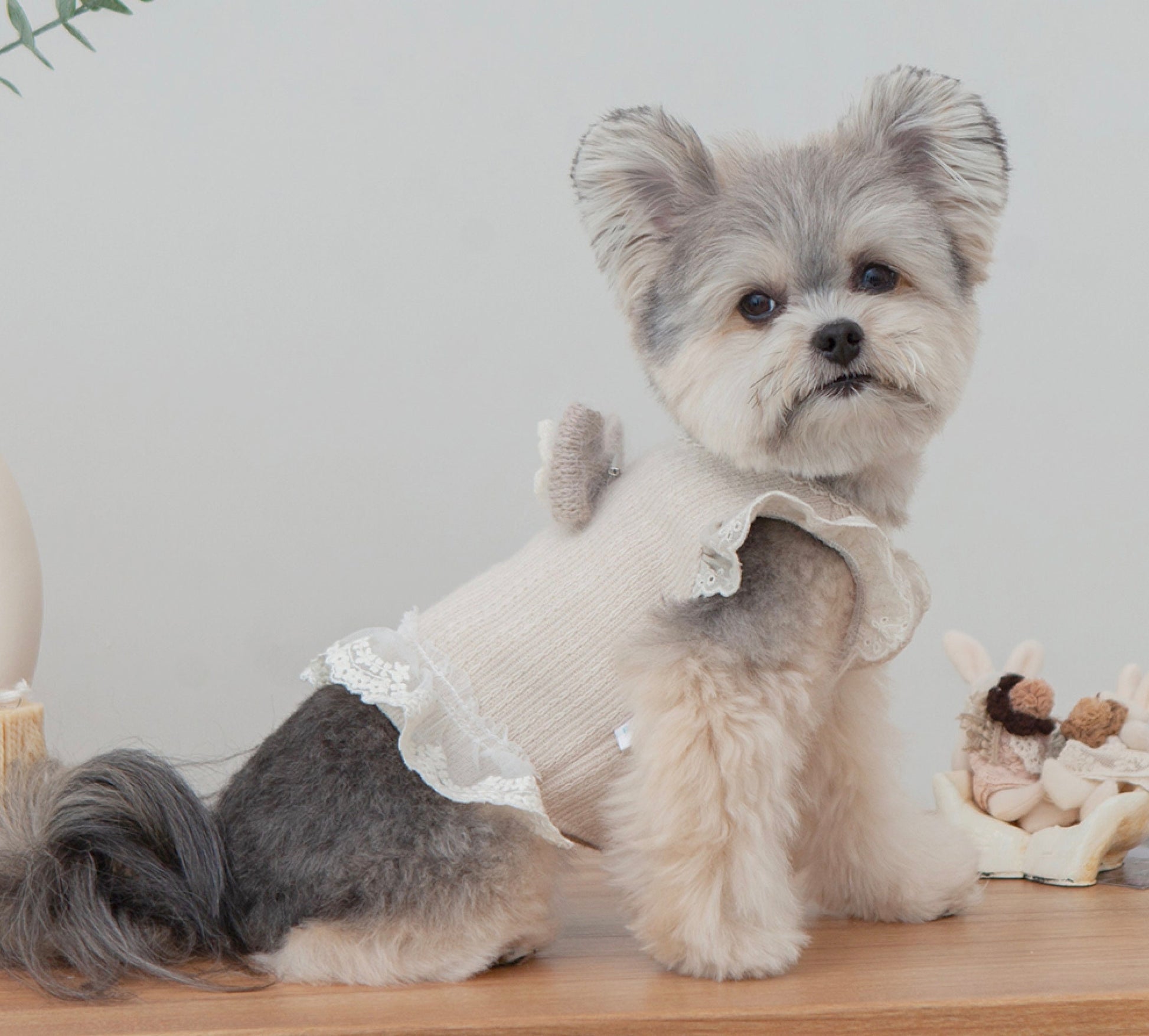 Linen Frilled Crop Top, S-2XL, Dog-Shirts Dog Top, Dog Clothing, Dog Fashion, Dog Apparel - NKpup