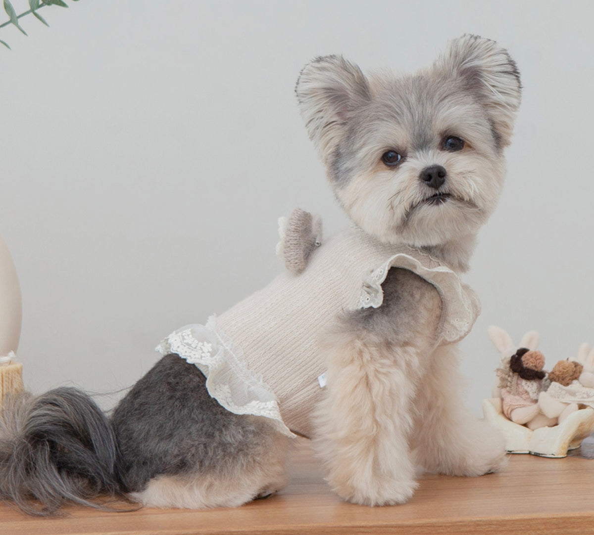 NKpup beige linen frilled crop top for dogs with white lace trim