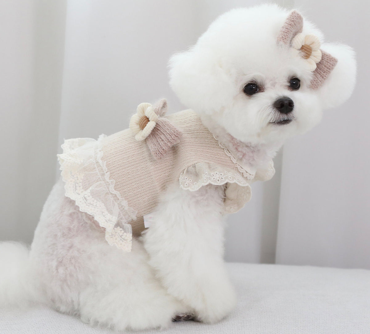 NKpup beige linen frilled crop top for dogs with lace trim and bow accents