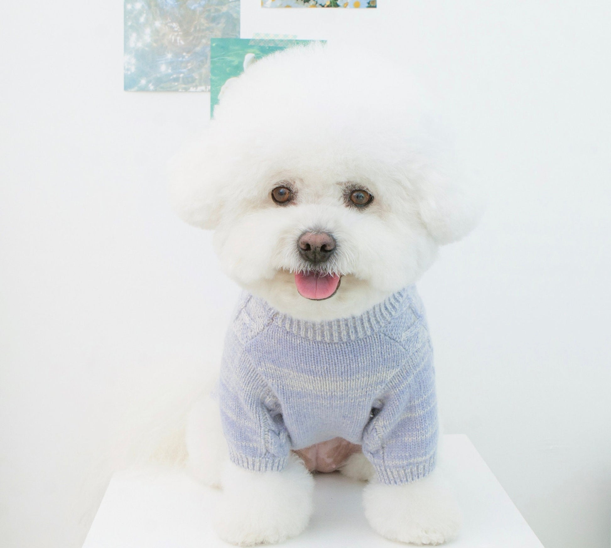 Turtleneck Cable Knit, S-2XL, Pet Clothing, Dog-Tee, Dog Winter Vest, Dog Top, Dog Fashion, Dog Apparel, Pet Clothing - NKpup