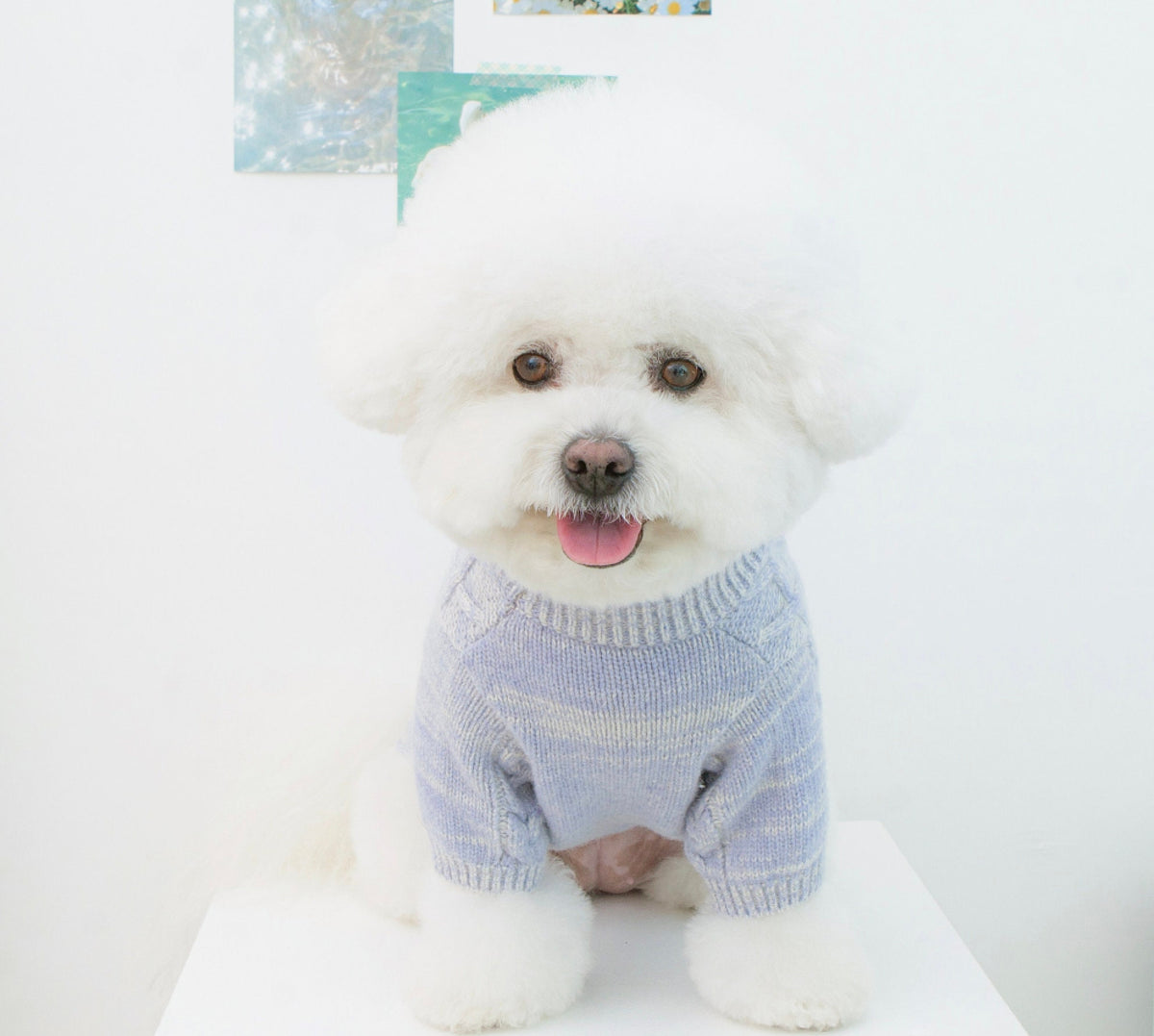 Toto light purple cable knit dog sweater