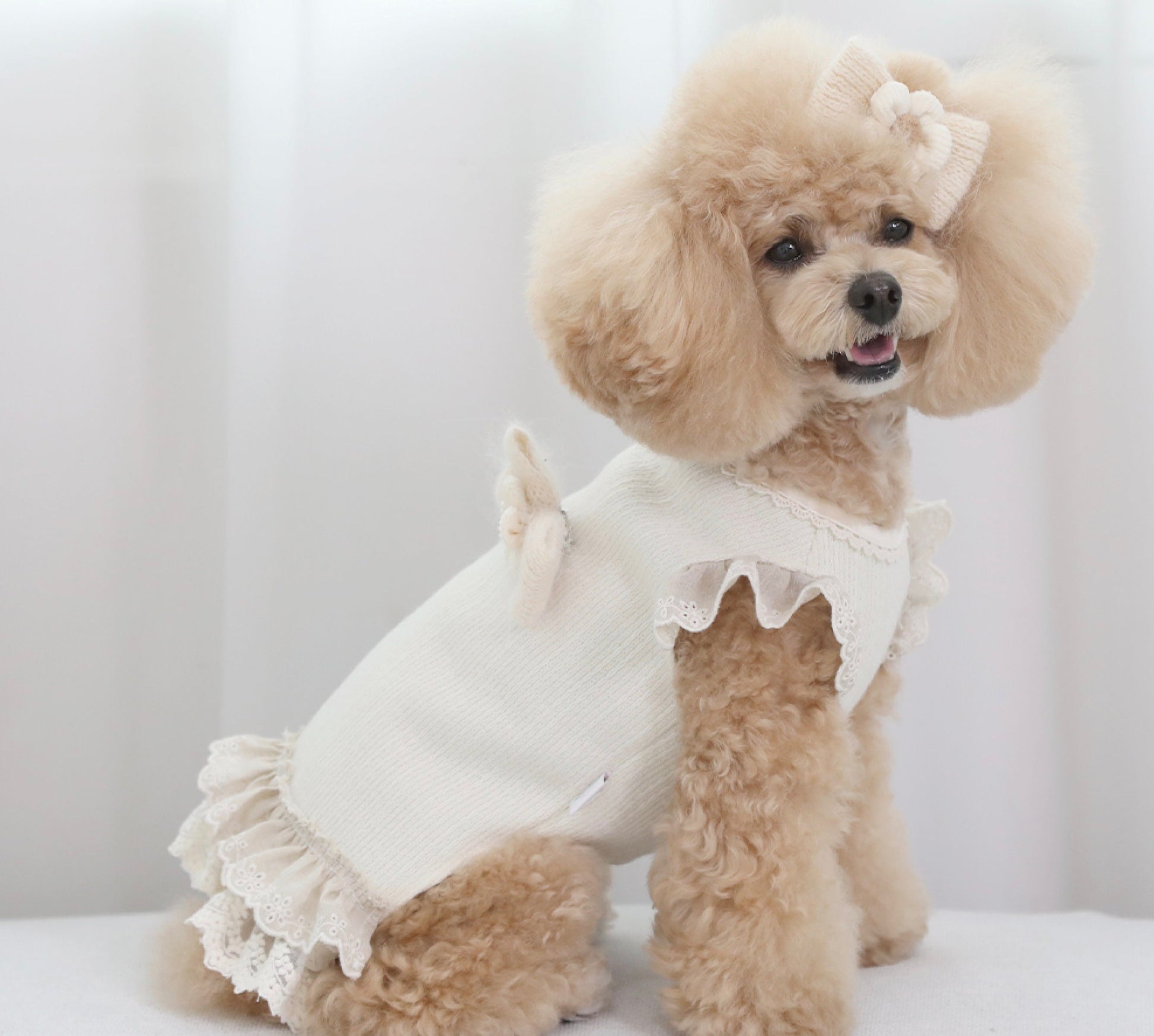 Linen Lace Dress for Dog | Dog Clothes from NKPUP XL Linen Lace Dress for Dog | Dog Clothes from NKPUP XL