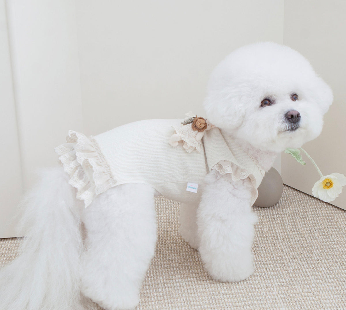 NKpup Linen Lace Dress in cream with delicate ruffle details and a small floral embellishment