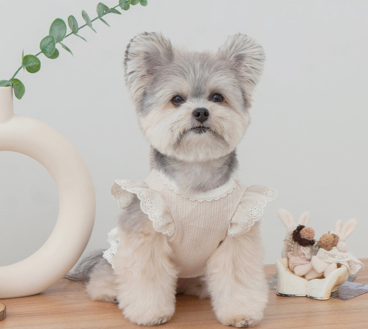 NKpup beige linen frilled crop top for dogs with delicate lace trim