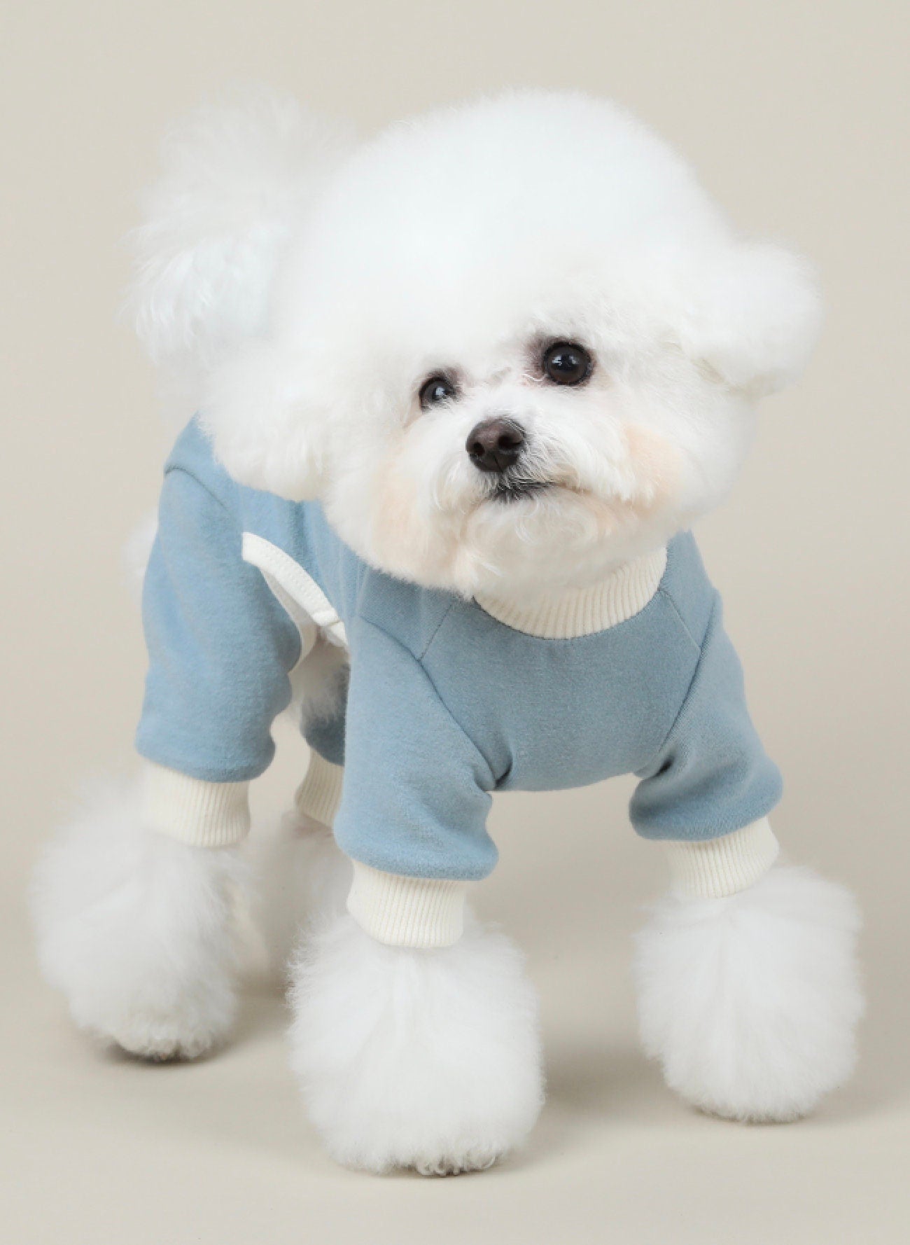 Cotton Paw Overall, S-2XL, Small Dog Cotton Romper, Pet Clothing, Dog Coat, Dog Winter Top, Small Dog Apparel, Pet Clothing - NKpup