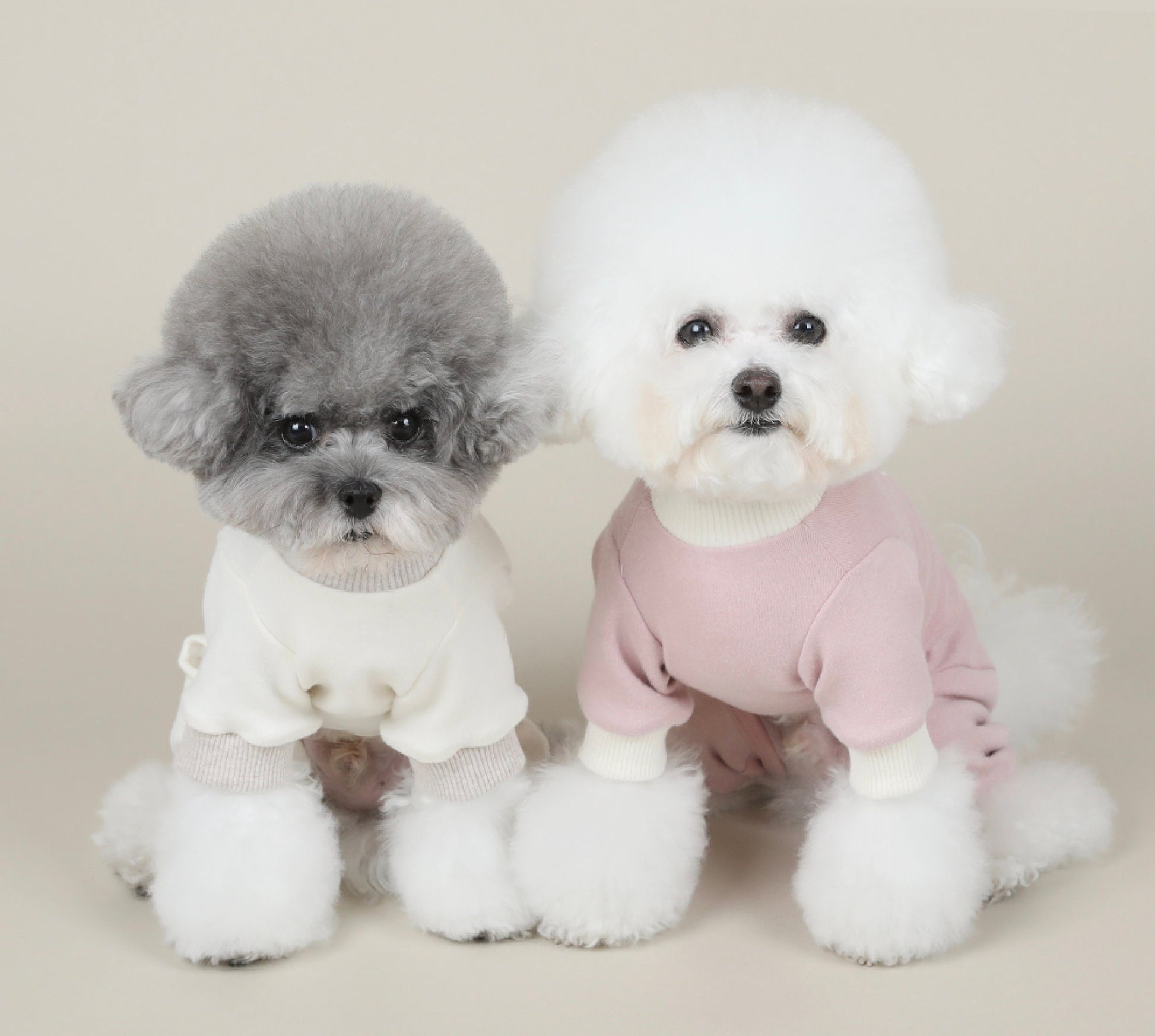 Cotton Paw Overall, S-2XL, Small Dog Cotton Romper, Pet Clothing, Dog Coat, Dog Winter Top, Small Dog Apparel, Pet Clothing - NKpup