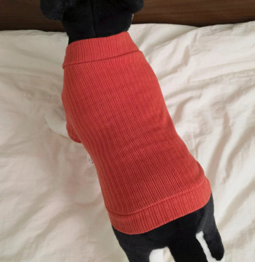 Jam Ribbed Dog Turtleneck Shirt