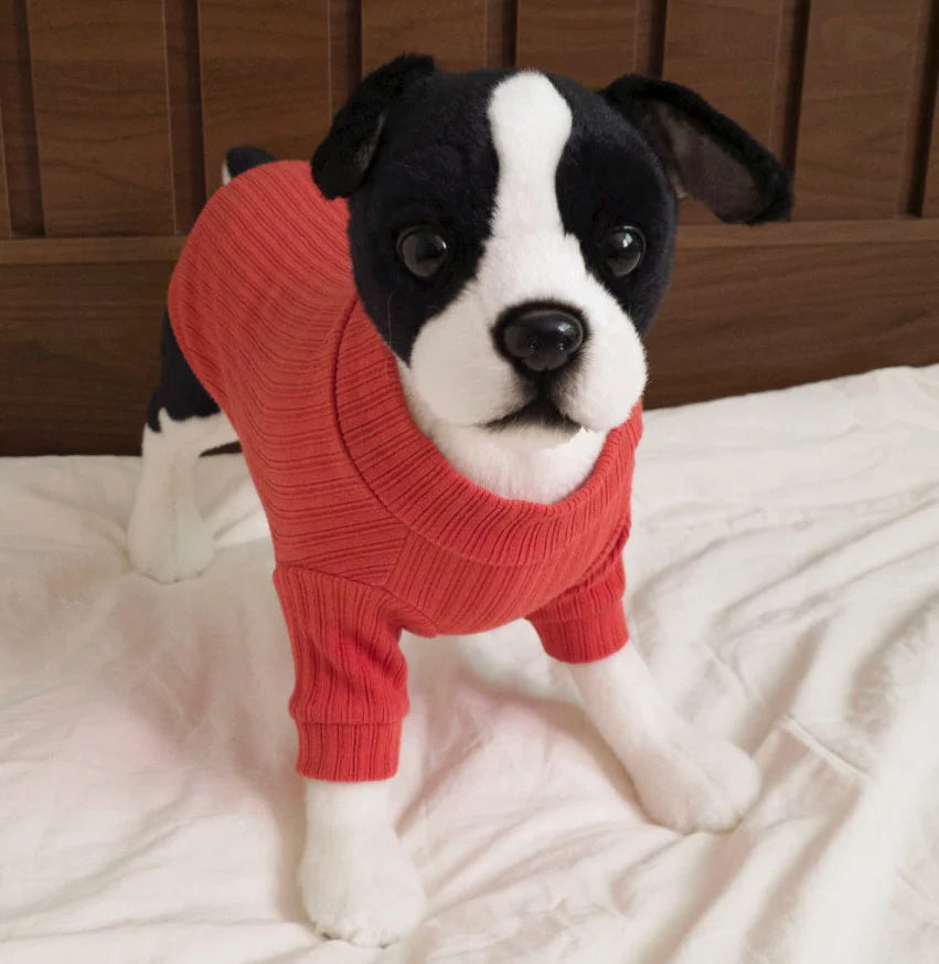 Jam Ribbed Dog Turtleneck Shirt
