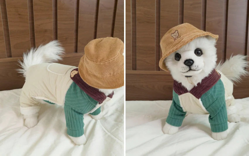 Jam Ribbed Dog Turtleneck Shirt