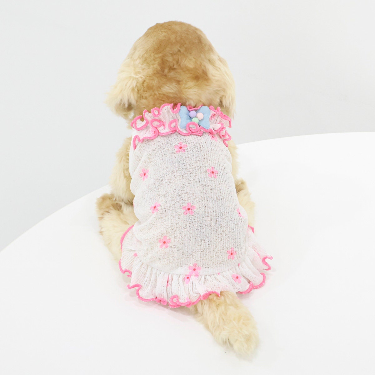 Summer Chiffon Dress, S-XL, Small Dog Dress, Dog Dress, Dog Clothing, Dog Fashion, Dog Apparel