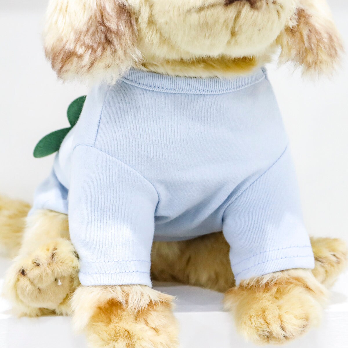 NKpup light blue Heart Carrot dog shirt with a small green leaf detail on the back