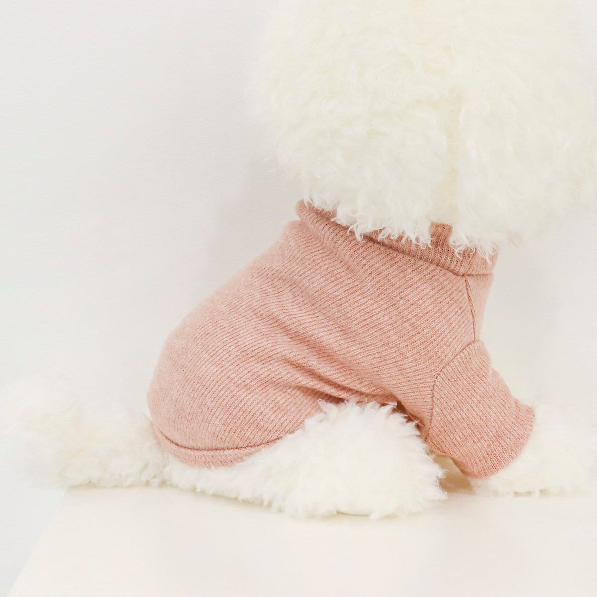 Basic Round Sweatshirt, S-XL, Pet Clothing, Dog-Tee, Dog T-shirt, Dog Top, Dog Clothing, Dog Fashion, Dog Apparel, Dog Long sleeves