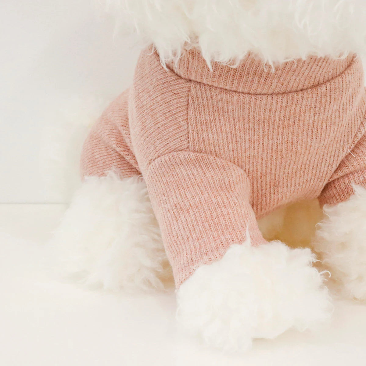 Basic Knit Dog Turtleneck Shirt