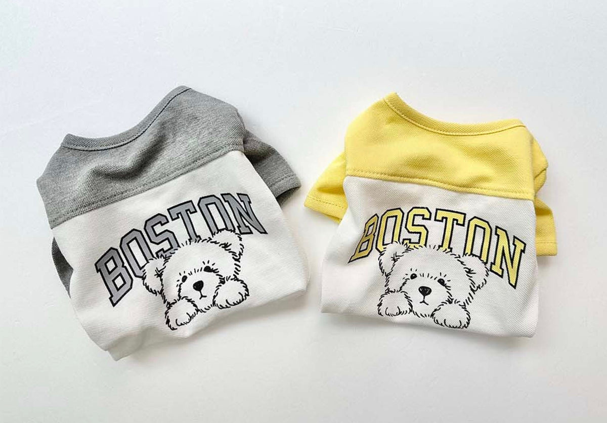 Boston Color-Block Tee dog shirts in grey and yellow with graphic dog print