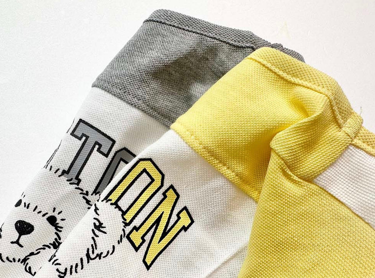 Boston Color-Block Tee dog shirt in grey and yellow with graphic print