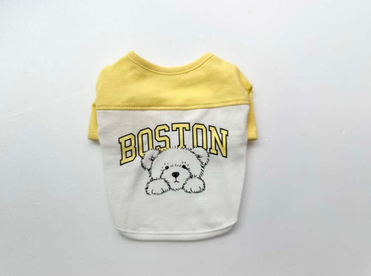 NKpup Boston Color-Block Tee in yellow and white with a dog illustration