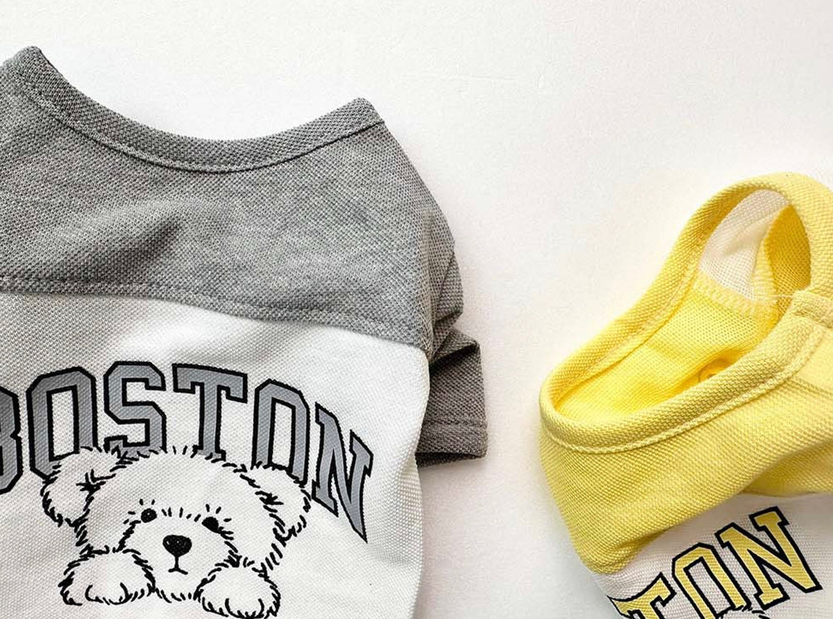 Boston Color-Block Tee dog shirt in grey and white with a graphic teddy bear design.