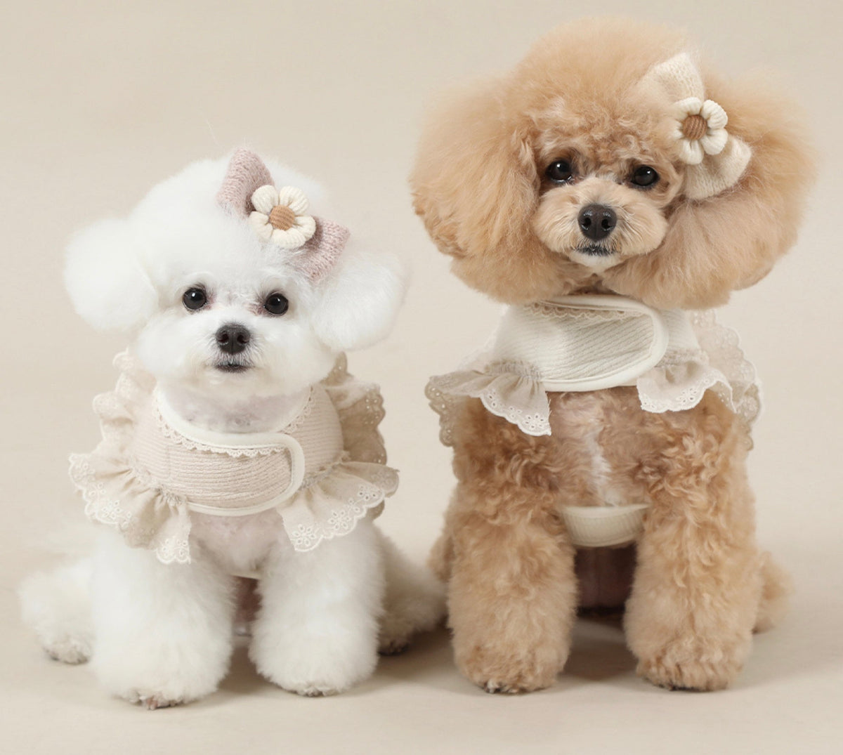 NKpup Organic Cotton Frilled Harness in cream and beige for small dogs.