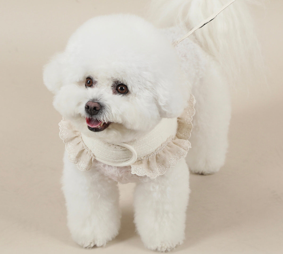 NKpup organic cotton frilled harness in cream white